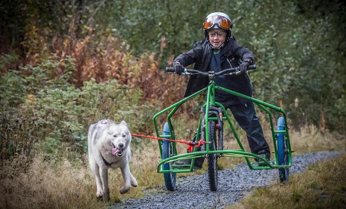 Intro to Mushing - Kids